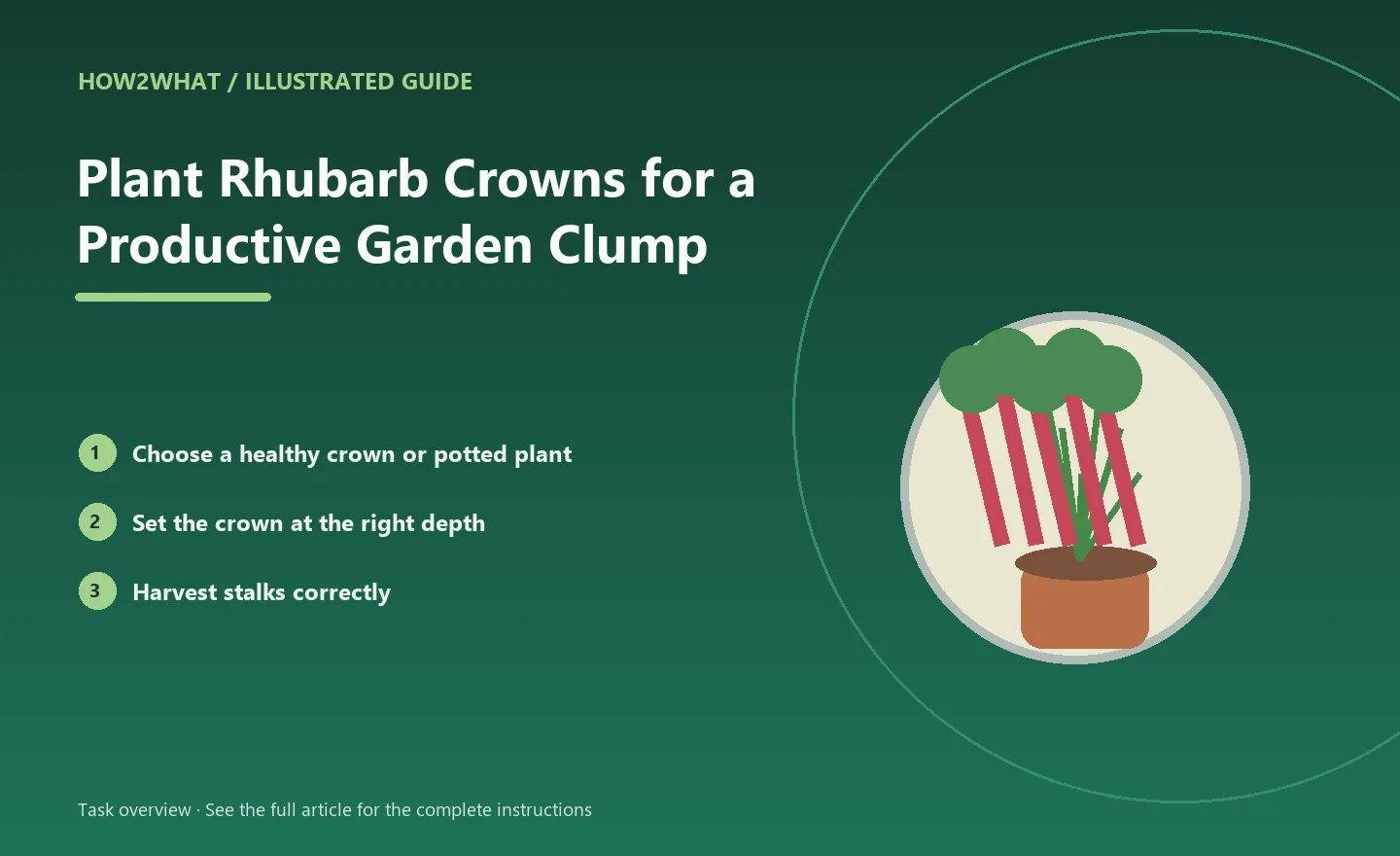 Illustrated task overview for How to Plant Rhubarb Crowns for a Productive Garden Clump