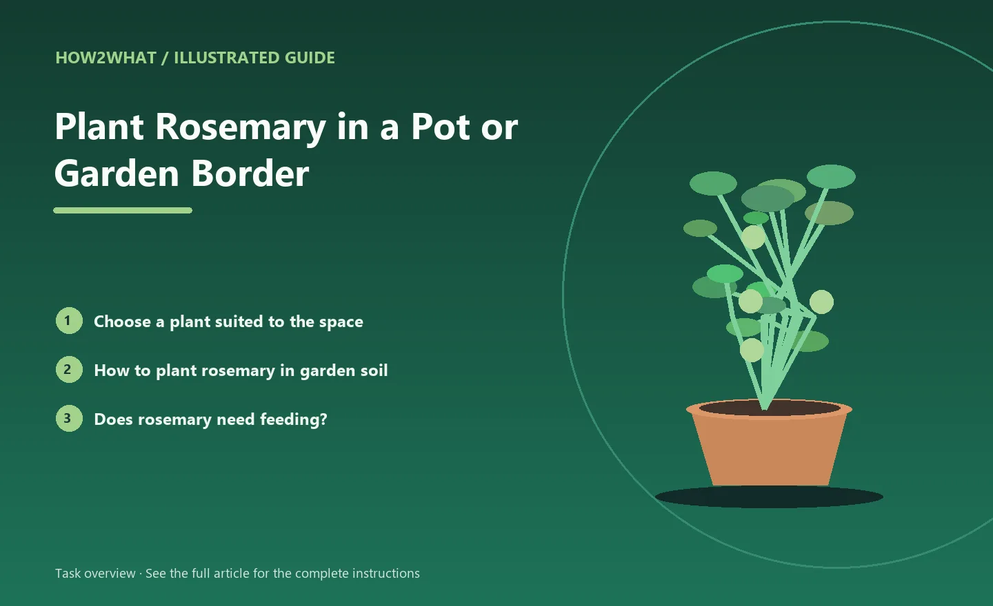 Illustrated task overview for How to Plant Rosemary in a Pot or Garden Border