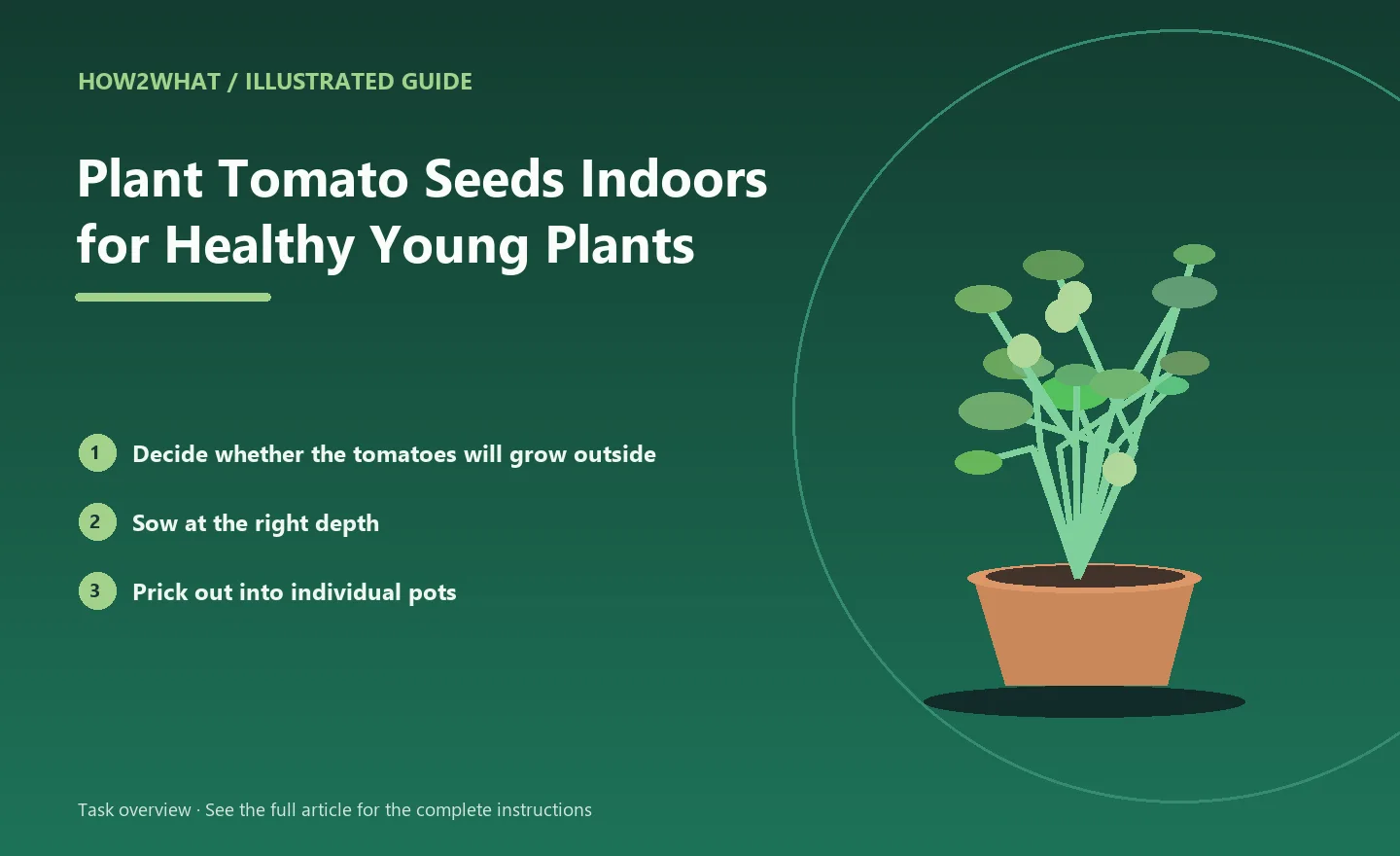 Illustrated task overview for How to Plant Tomato Seeds Indoors for Healthy Young Plants