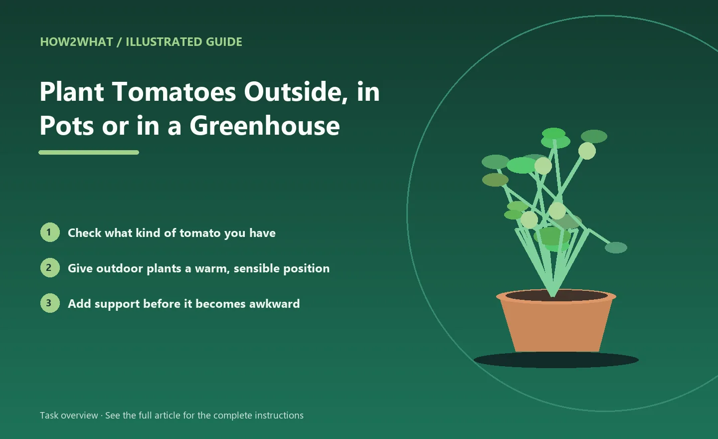 Illustrated task overview for How to Plant Tomatoes Outside, in Pots or in a Greenhouse