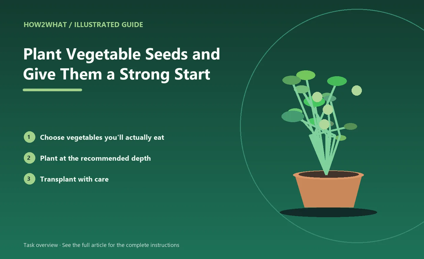 Illustrated task overview for How to Plant Vegetable Seeds and Give Them a Strong Start