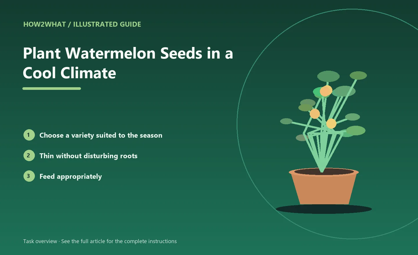 Illustrated task overview for How to Plant Watermelon Seeds in a Cool Climate