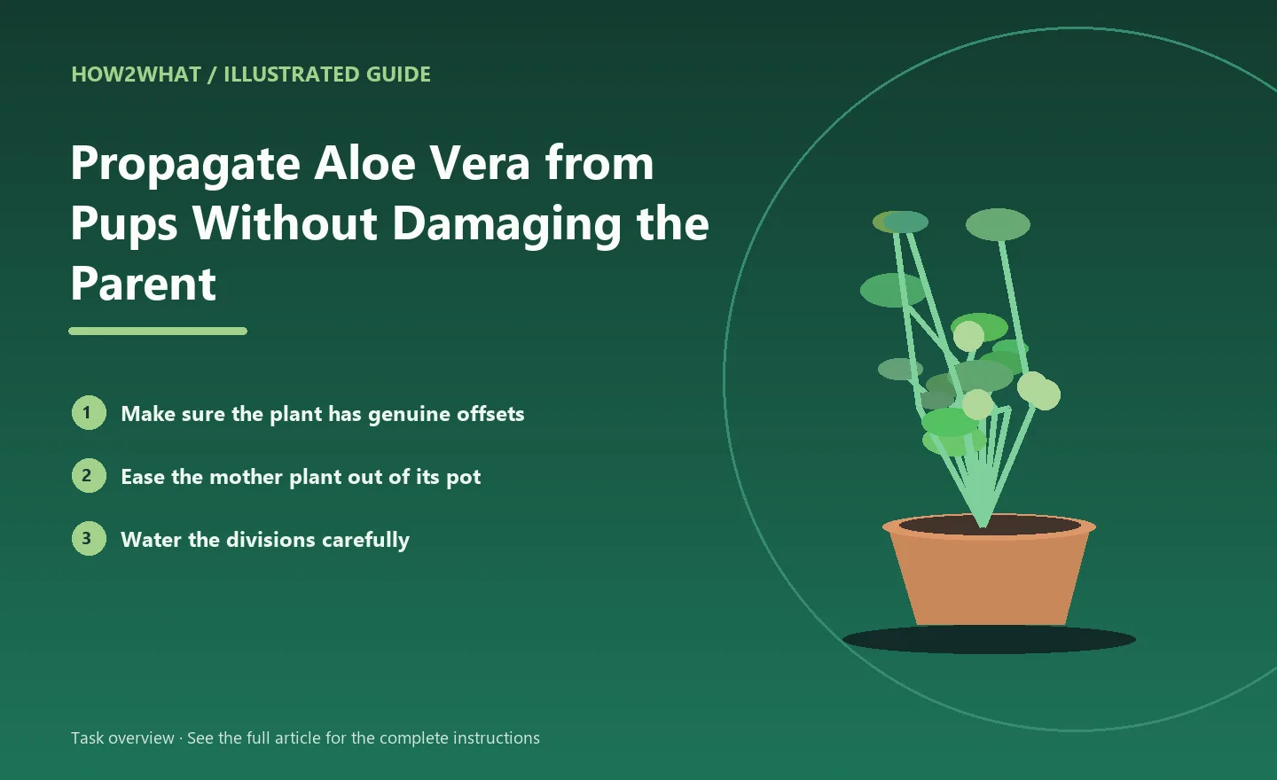 Illustrated task overview for How to Propagate Aloe Vera from Pups Without Damaging the Parent