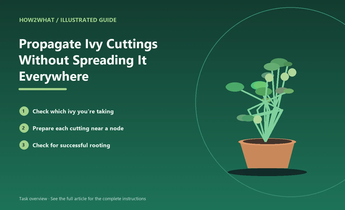 Illustrated task overview for How to Propagate Ivy Cuttings Without Spreading It Everywhere