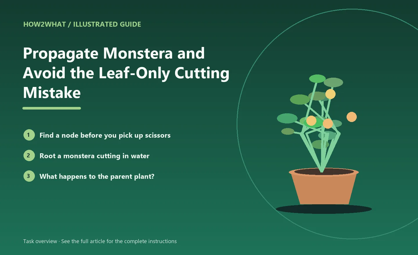Illustrated task overview for How to Propagate Monstera and Avoid the Leaf-Only Cutting Mistake