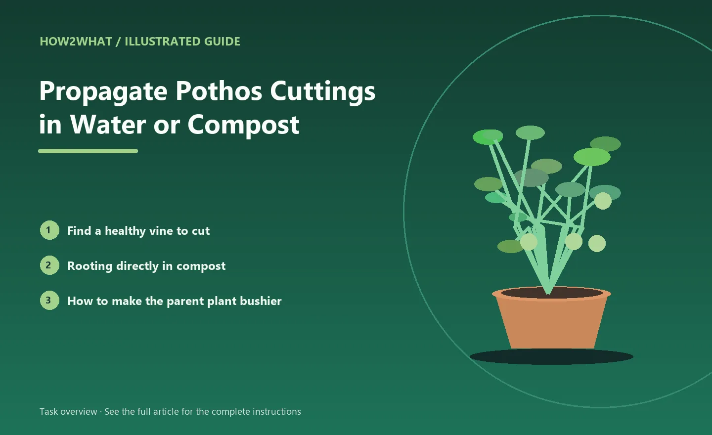Illustrated task overview for How to Propagate Pothos Cuttings in Water or Compost