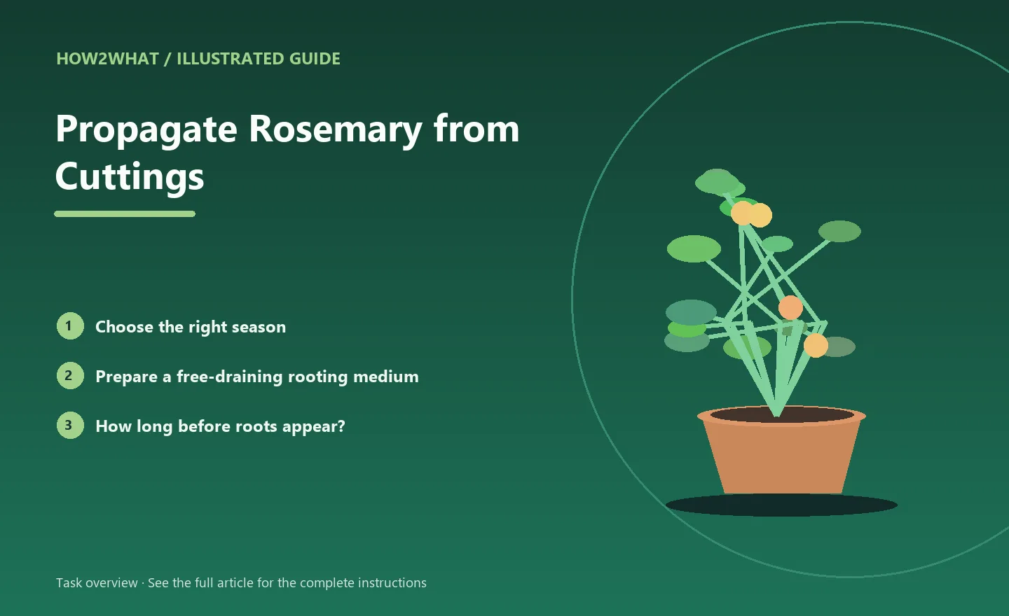 Illustrated task overview for How to Propagate Rosemary from Cuttings