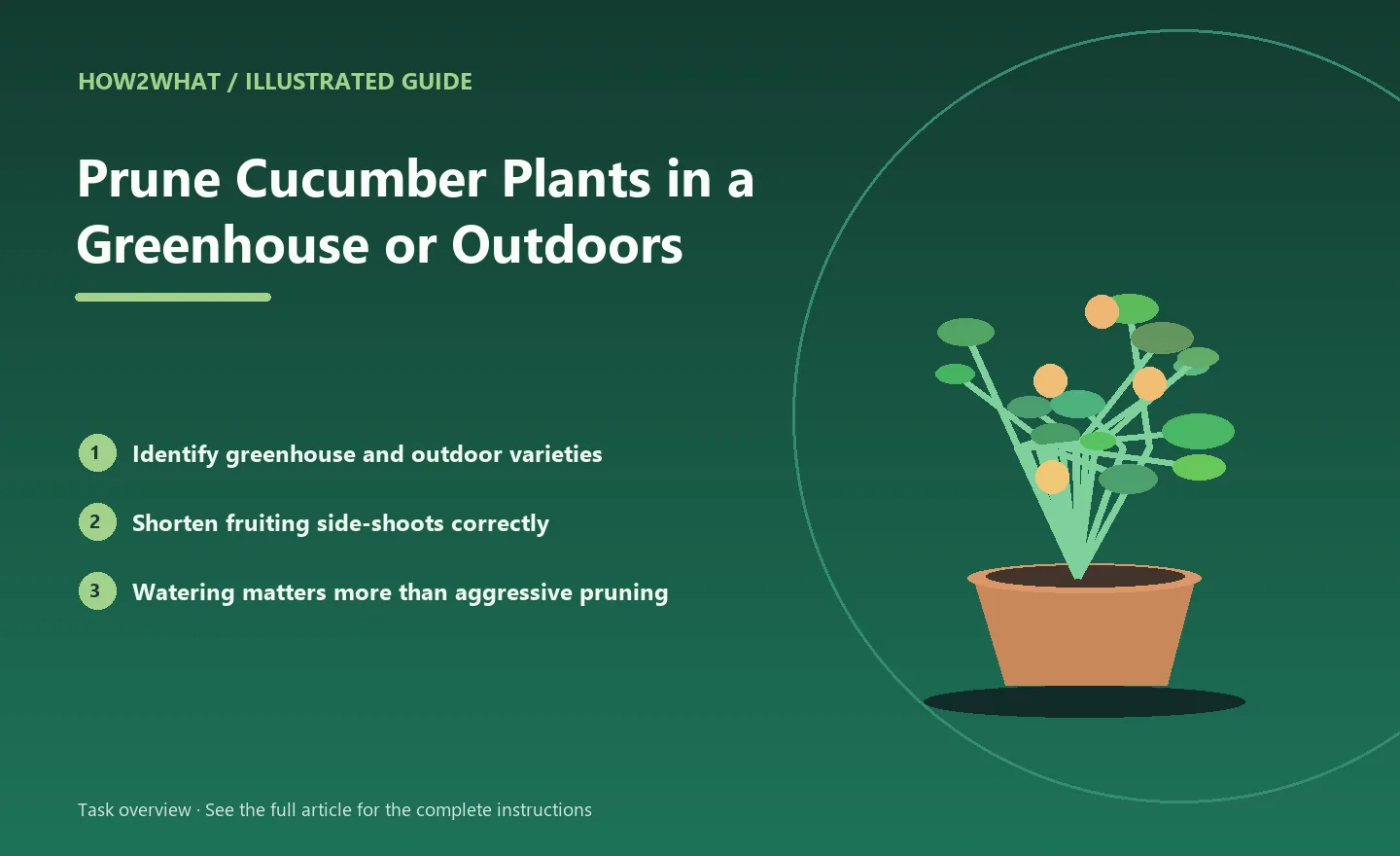 Illustrated task overview for How to Prune Cucumber Plants in a Greenhouse or Outdoors