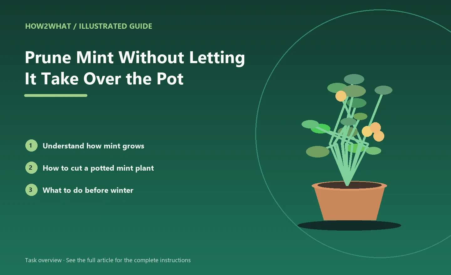 Illustrated task overview for How to Prune Mint Without Letting It Take Over the Pot