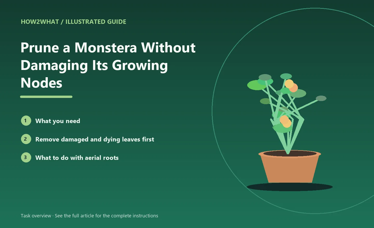 Illustrated task overview for How to Prune a Monstera Without Damaging Its Growing Nodes