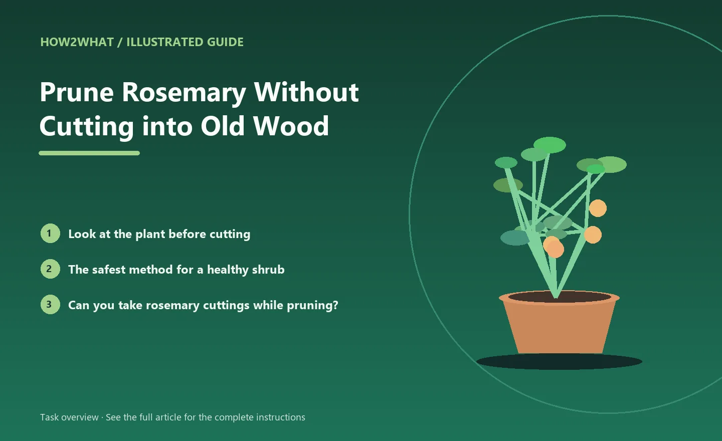 Illustrated task overview for How to Prune Rosemary Without Cutting into Old Wood