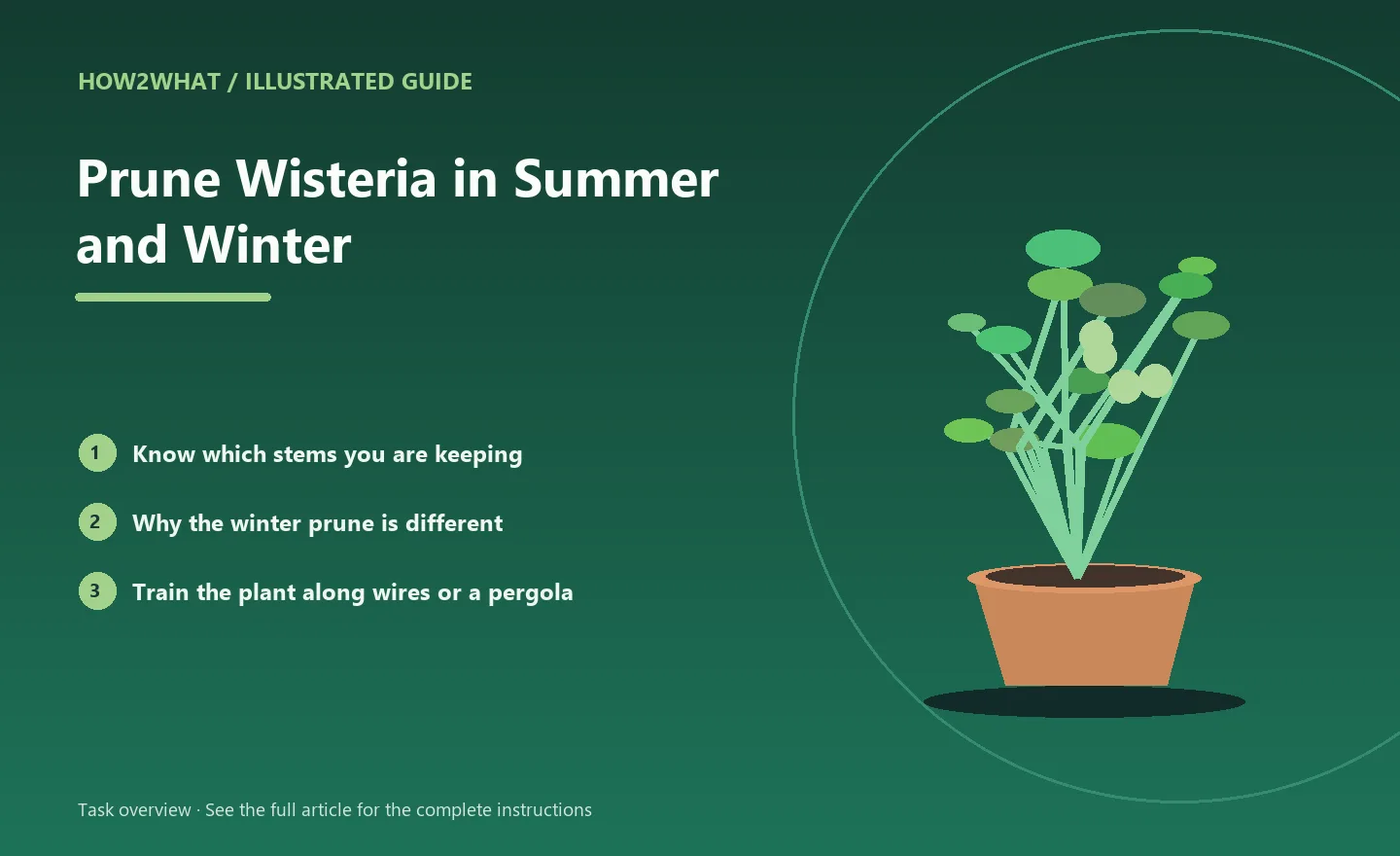 Illustrated task overview for How to Prune Wisteria in Summer and Winter