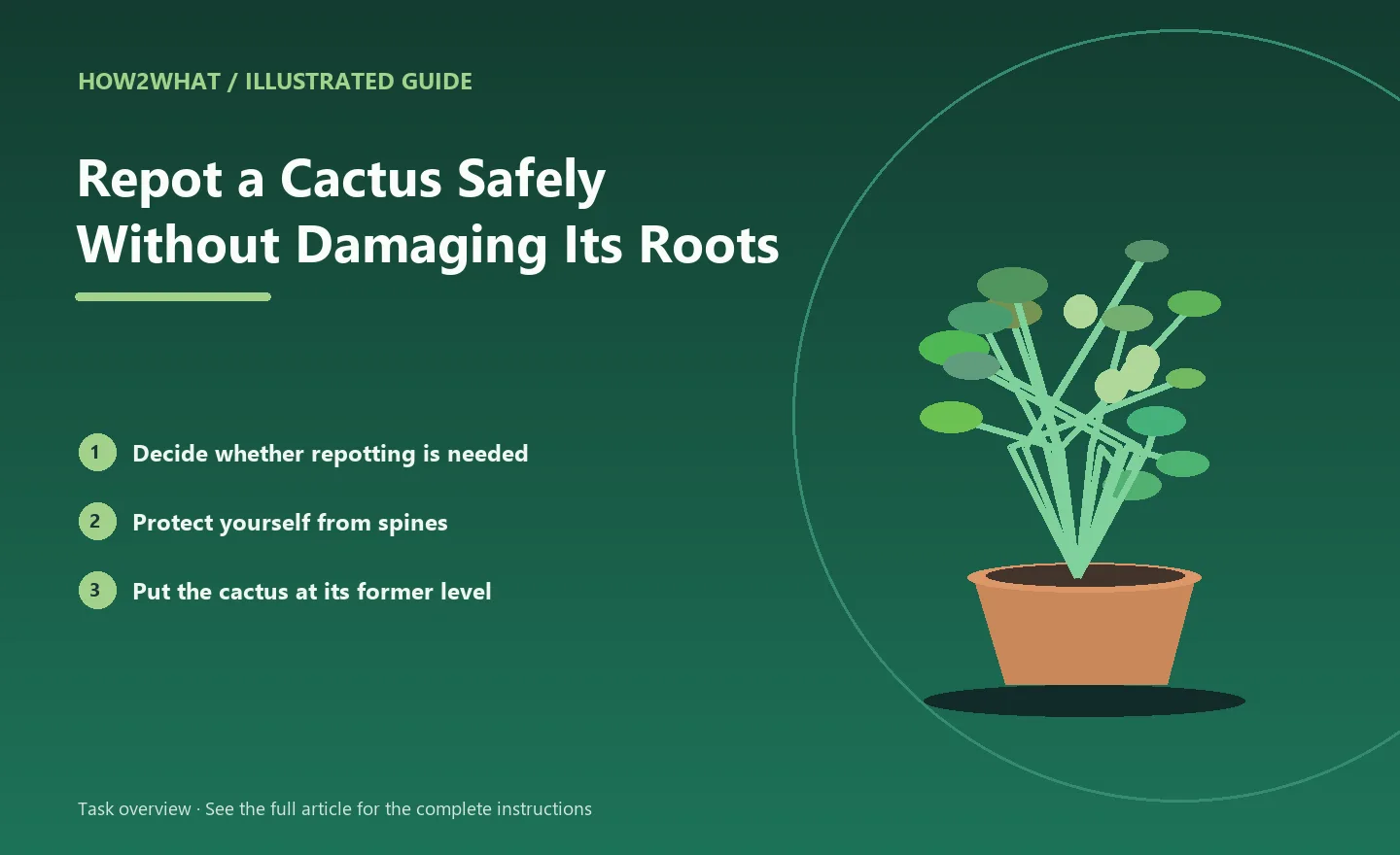 Illustrated task overview for How to Repot a Cactus Safely Without Damaging Its Roots