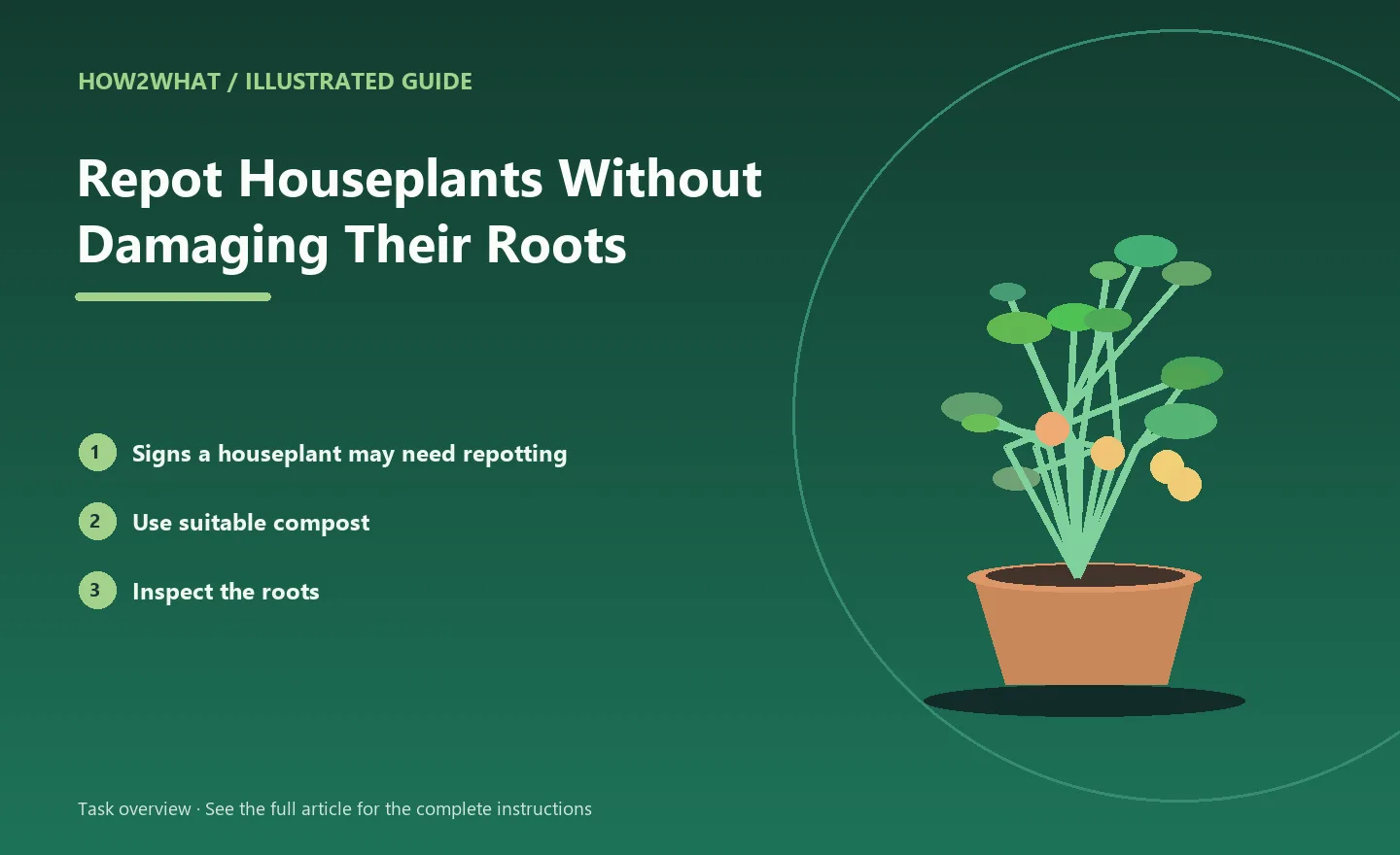 Illustrated task overview for How to Repot Houseplants Without Damaging Their Roots
