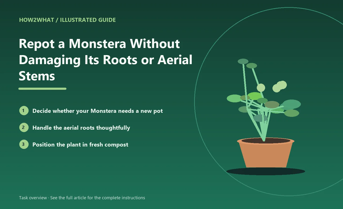 Illustrated task overview for How to Repot a Monstera Without Damaging Its Roots or Aerial Stems