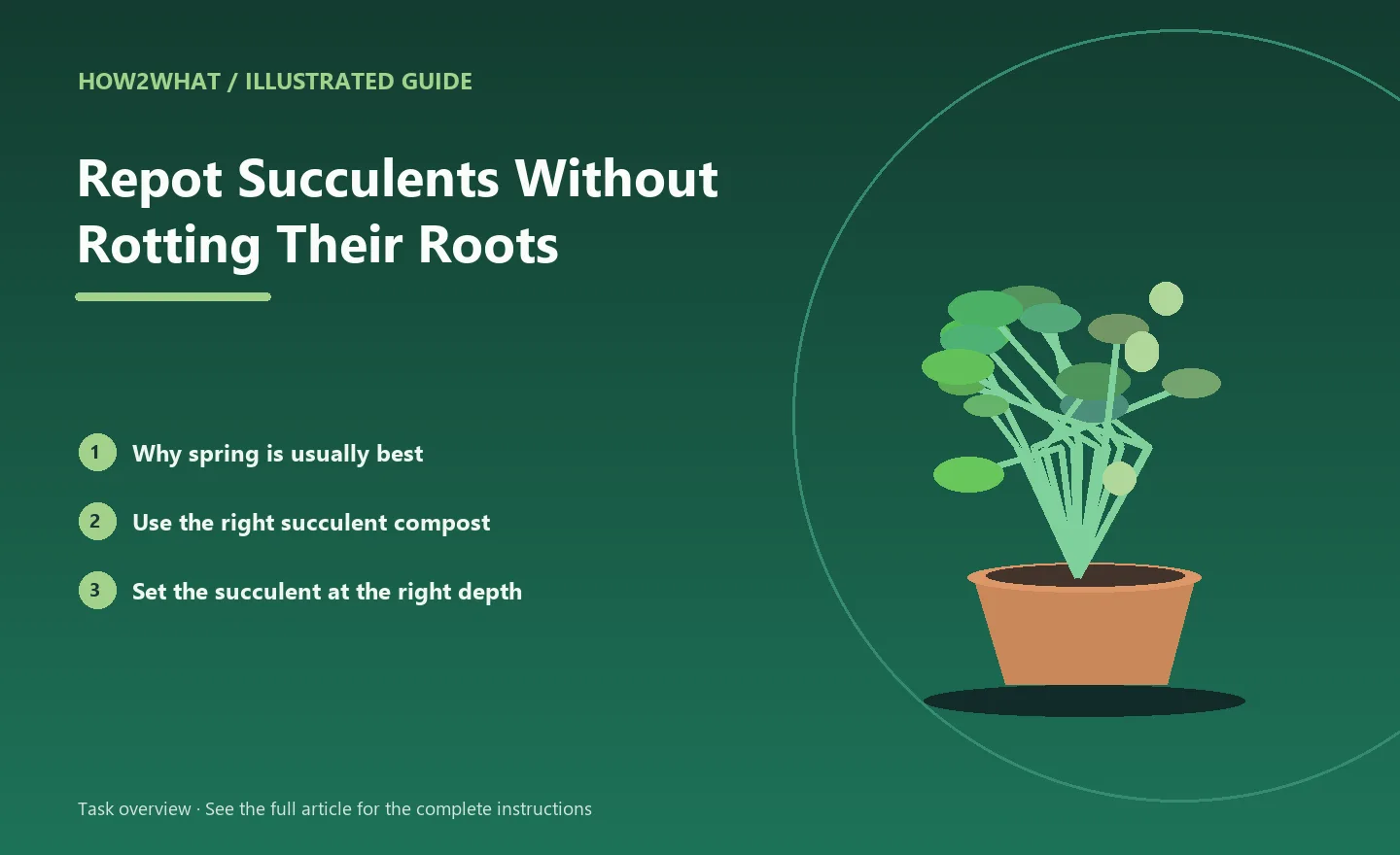 Illustrated task overview for How to Repot Succulents Without Rotting Their Roots