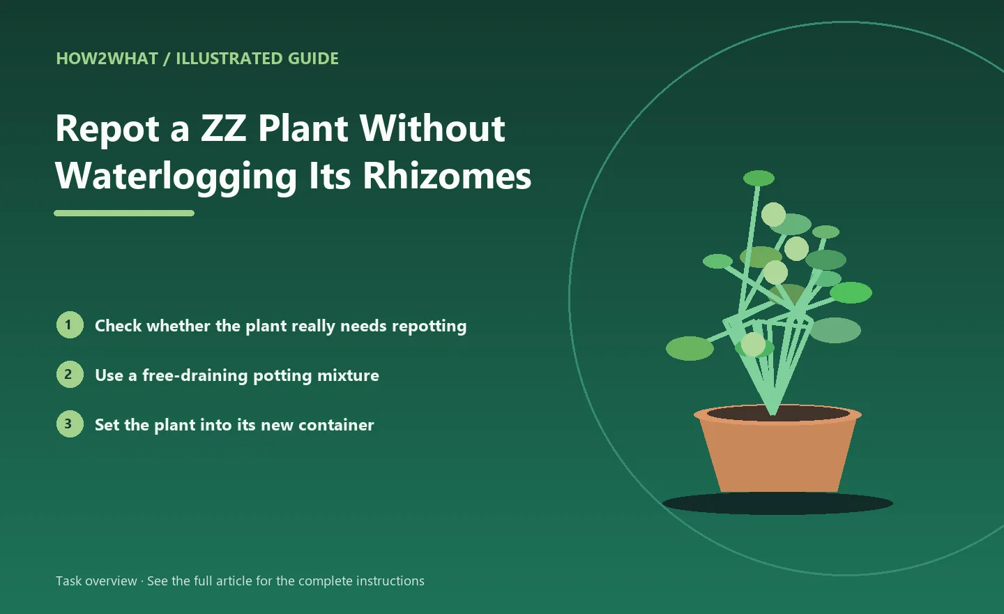 Illustrated task overview for How to Repot a ZZ Plant Without Waterlogging Its Rhizomes