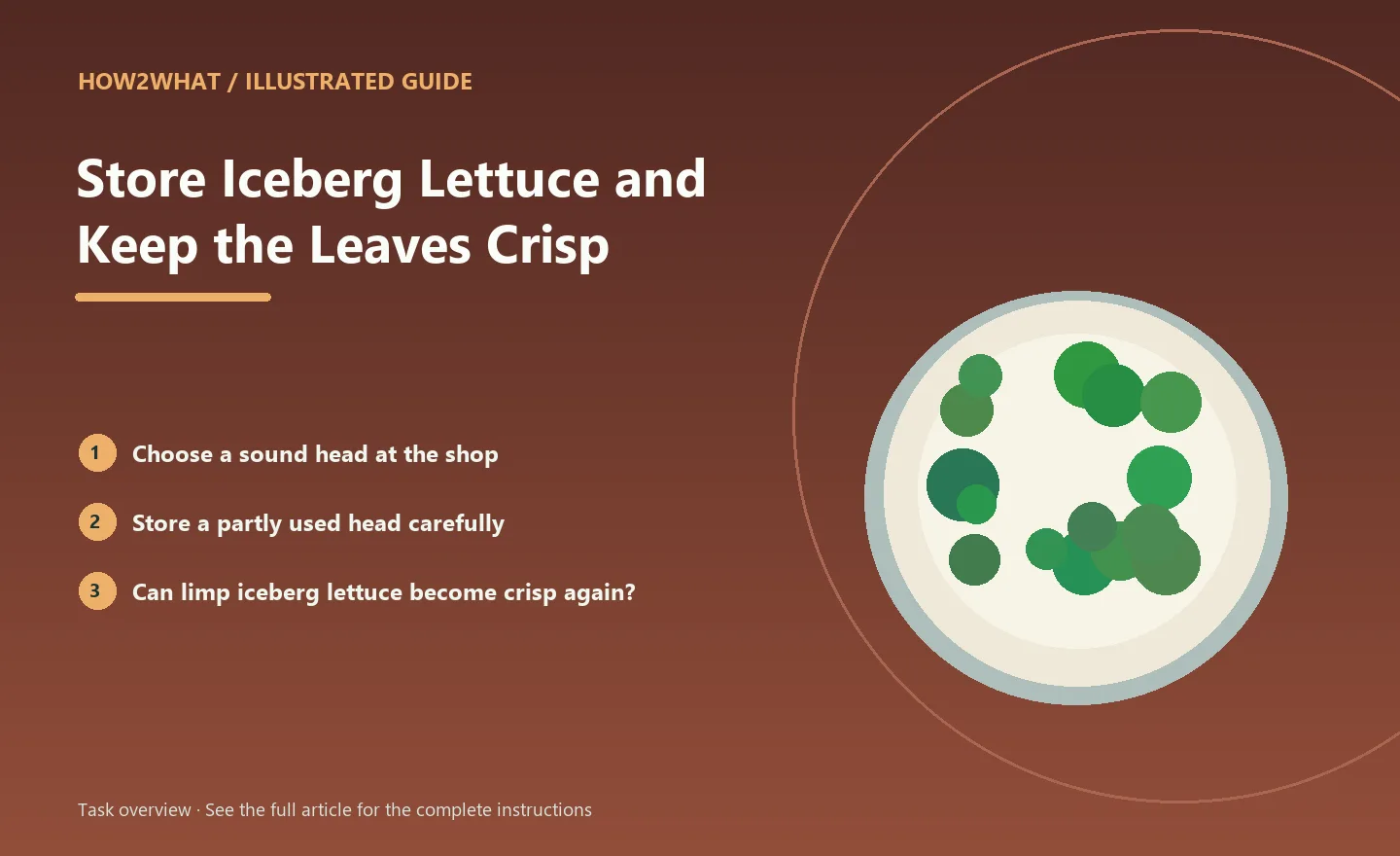 Illustrated task overview for How to Store Iceberg Lettuce and Keep the Leaves Crisp