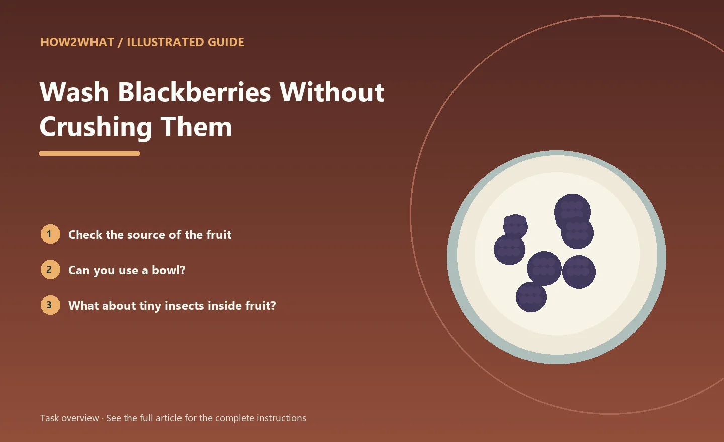 Illustrated task overview for How to Wash Blackberries Without Crushing Them