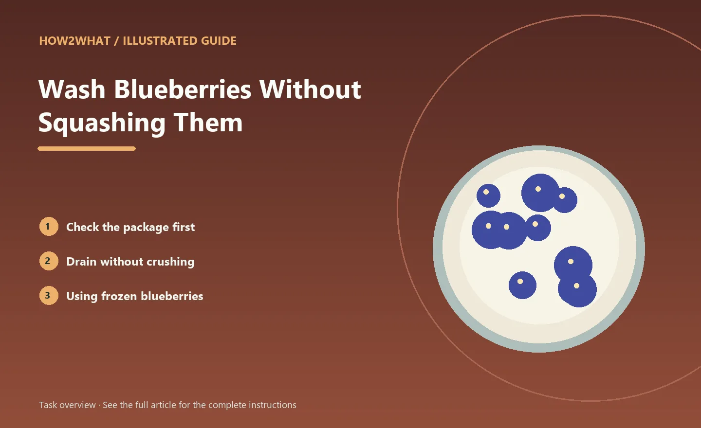 Illustrated task overview for How to Wash Blueberries Without Squashing Them