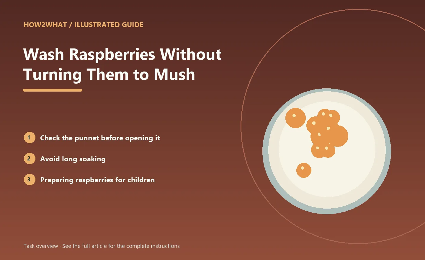 Illustrated task overview for How to Wash Raspberries Without Turning Them to Mush